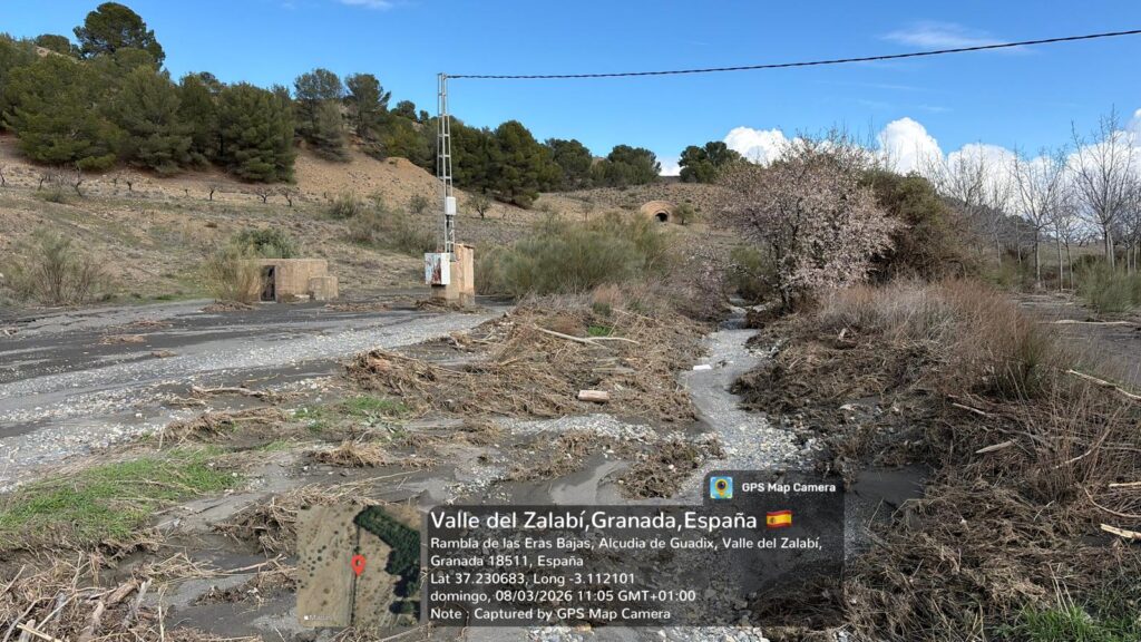 whatsapp image 2026 03 08 at 12.04.4312