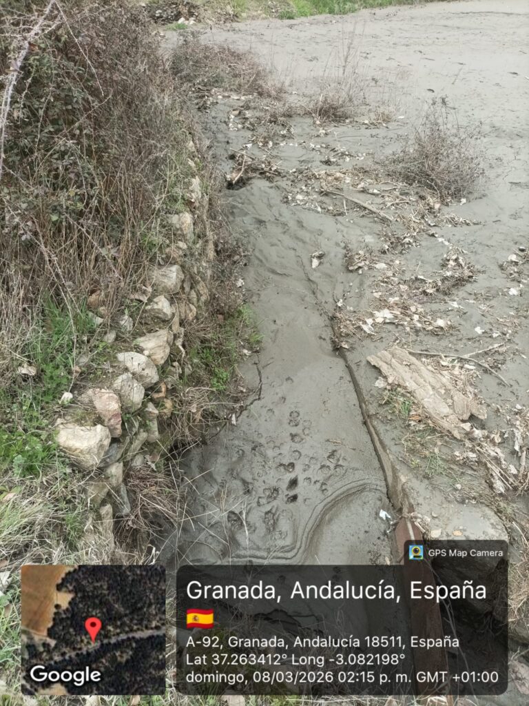 whatsapp image 2026 03 10 at 09.54.53 (2)