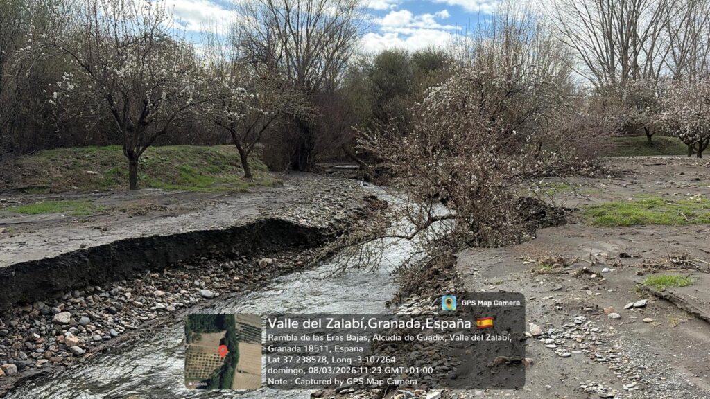 whatsapp image 2026 03 08 at 12.04.43