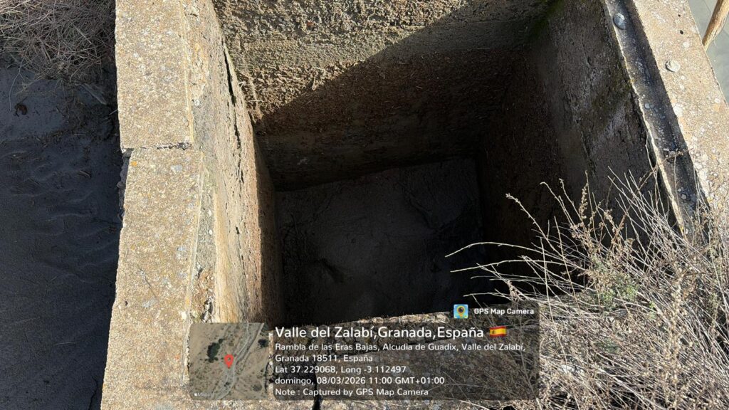 whatsapp image 2026 03 08 at 12.04.4314