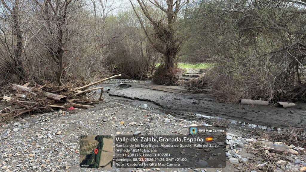 whatsapp image 2026 03 08 at 12.04.433