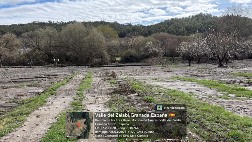 whatsapp image 2026 03 08 at 12.04.439