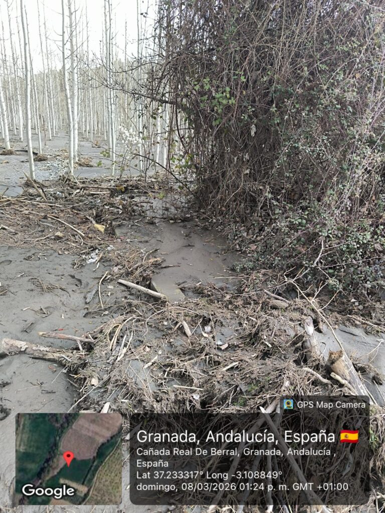 whatsapp image 2026 03 10 at 09.37.55