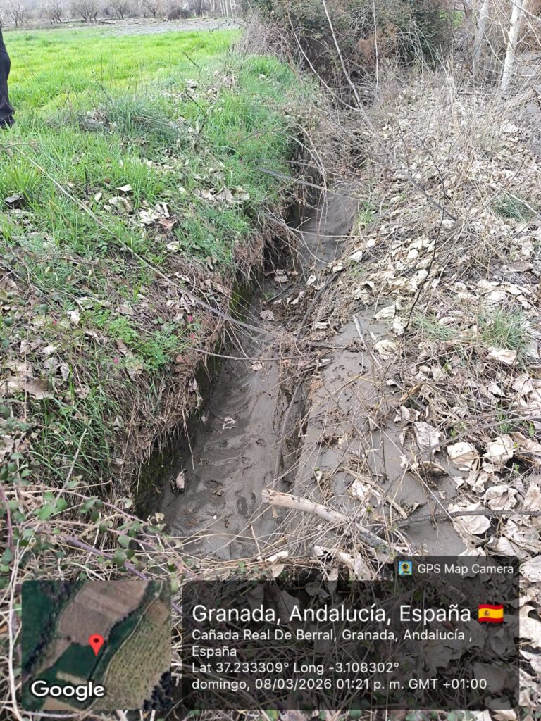 whatsapp image 2026 03 10 at 09.37.56 (2)