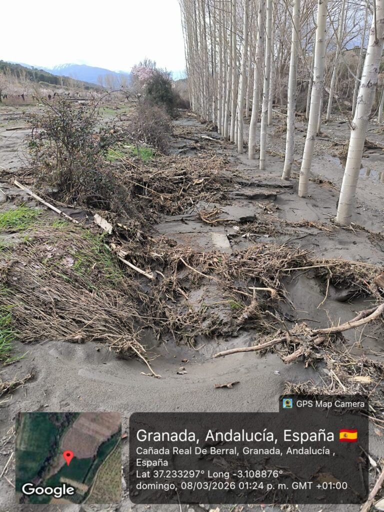 whatsapp image 2026 03 10 at 09.37.56