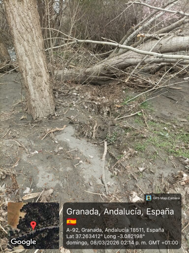 whatsapp image 2026 03 10 at 09.54.53 (1)