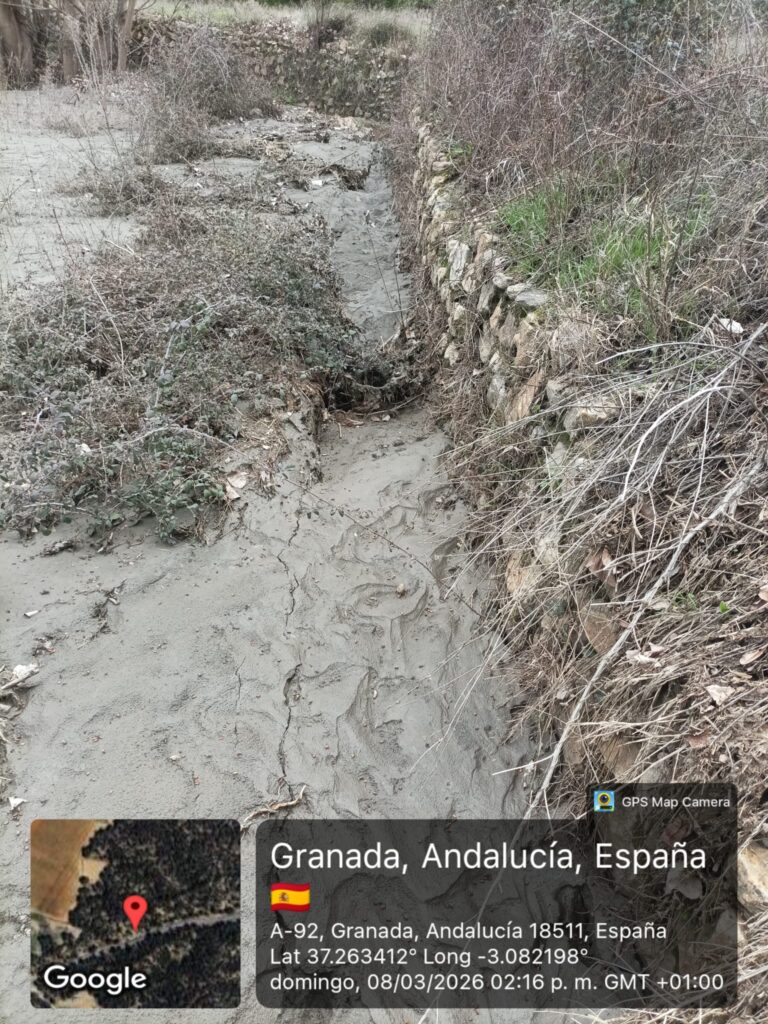 whatsapp image 2026 03 10 at 09.54.53 (3)