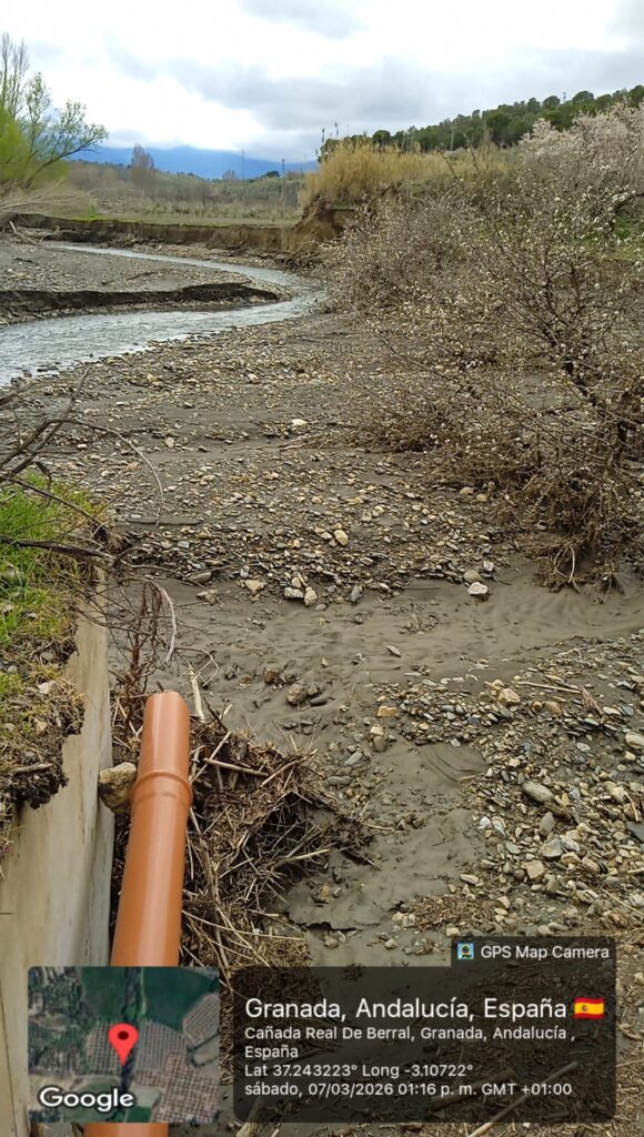 whatsapp image 2026 03 10 at 09.57.14