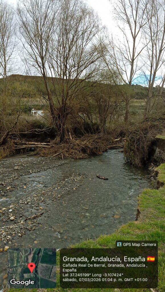 whatsapp image 2026 03 10 at 10.03.33